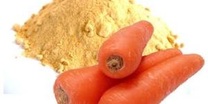 Spray Dried Carrot Powder