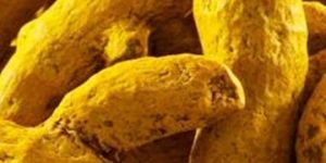 Turmeric