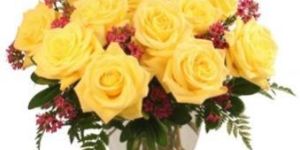 Fresh Gold Strike Rose Flowers