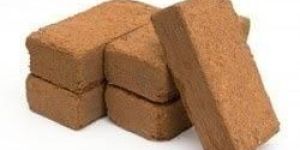 Coir Pith Blocks