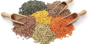 Organic Pulses