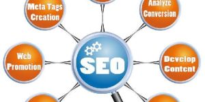 SEO Training