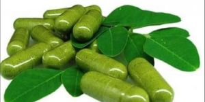 Moringa Capsules