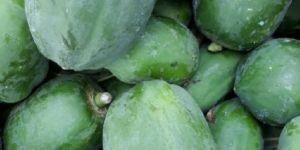 Fresh Green Papaya