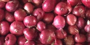 Big Red Onions
