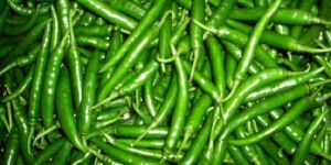 Green Chilli
