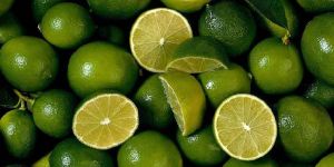 Limes