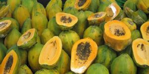 Papaya