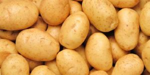 Potato