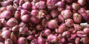 Small Red Onions