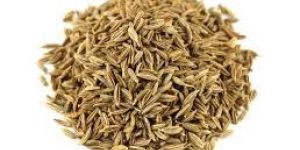 Cumin Seeds