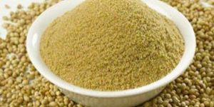 Coriander Powder