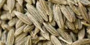 Cumin Seeds