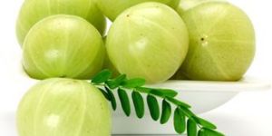 Fresh Amla