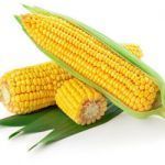 Yellow Maize