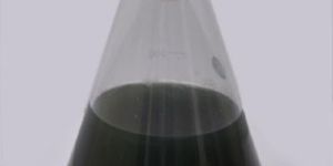 Trichoderma Viride (Dr. Bacto's Dermus)