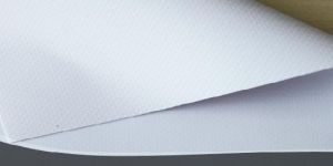 Grey Back Banner