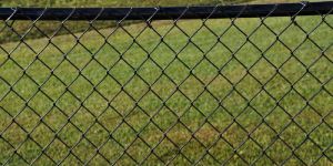 Chain Link Fence