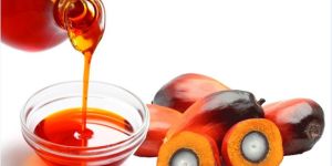 Palm Oil