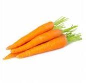 Fresh Carrot