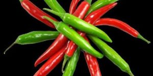 Fresh Chilli