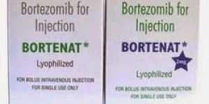 Bortezomib