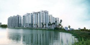 Villa Construction Services