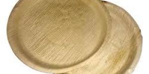 Areca Leaf Paper Plates