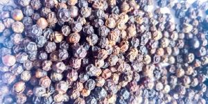Black Pepper