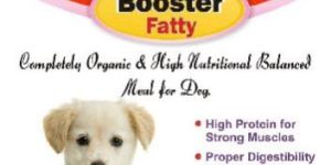 Dog Food (100% Chemical Free)