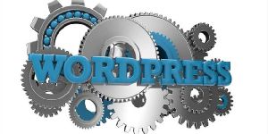 Wordpress Website Development Service