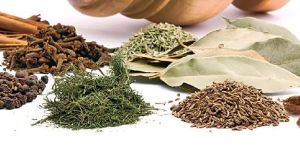 Indian Spices