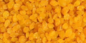 Gold Raisins