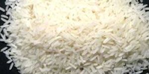 Non- Basmati Rice