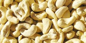 Whole White Cashew Kernels