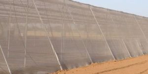 Insect Net