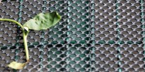 Tea Withering Net