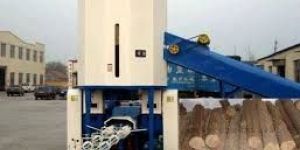 Biomass Briquetting Plant