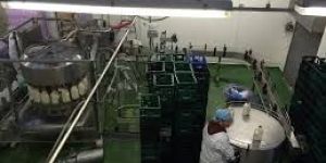 Milk Packaging Services