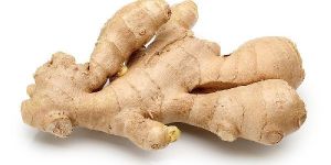 Fresh Ginger
