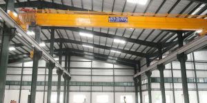 Single Girder EOT Crane
