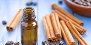 Cassia Oil