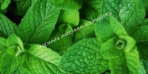 Natural Menthol Essential Oil
