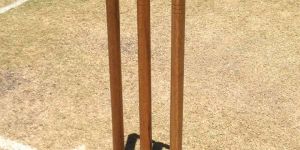 Cricket Stumps