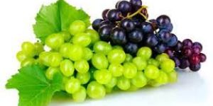 Fresh Grapes