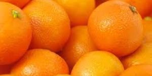 Fresh Orange