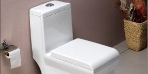 Varmora Water Closet