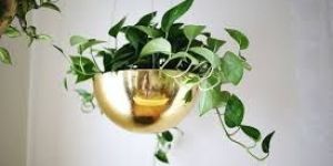 Brass Hanging Planter