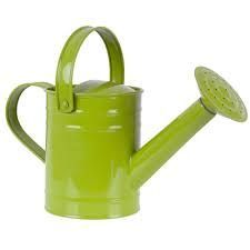 Garden Watering Can