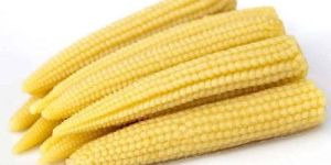 Baby Corn